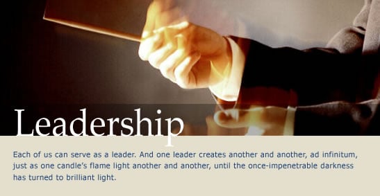 leadership competencies, developing technology leadership, visionary leadership